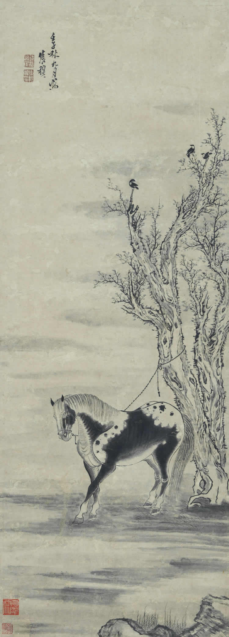 Horse under a tree