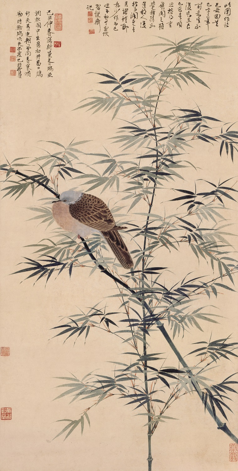 Dove and spring bamboo