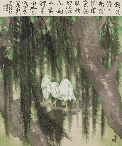 White egrets under the willow shade