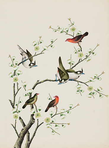 <i>Avadavat and bulbul</i> by Guan Lianchang