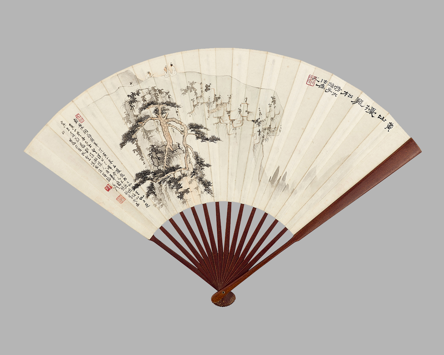 黃山擾龍松 黃山擾龍松