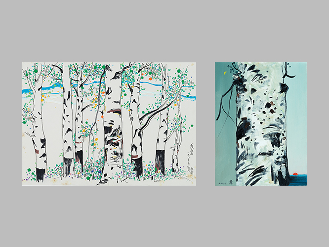 White birch forest of the Changbai Mountains and Day and night