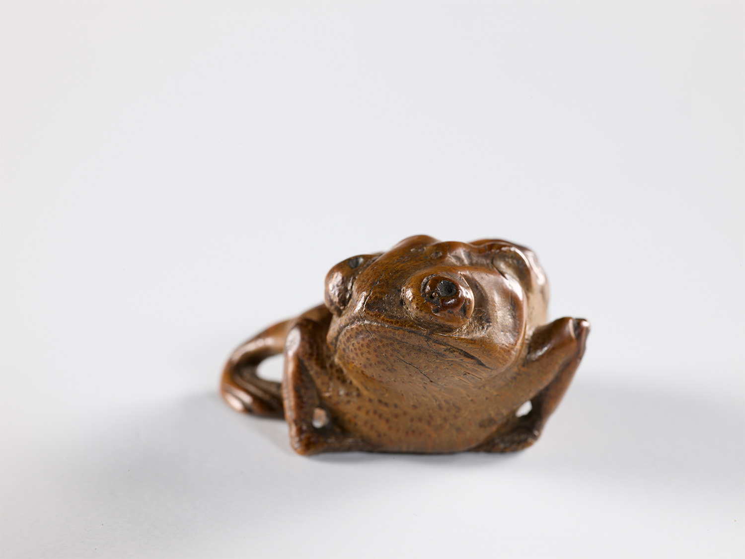 Zhu Ying<br> Bamboo toad carved in the round, Mark of "Zhu Ying"