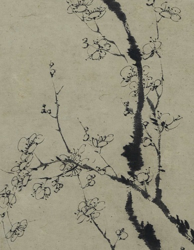 Ink plum blossoms