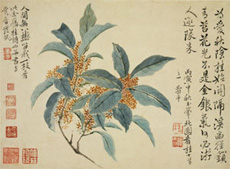 Landscapes and flowers (leaf 1)