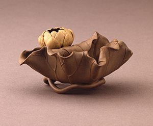 image Washer of lotus shape
